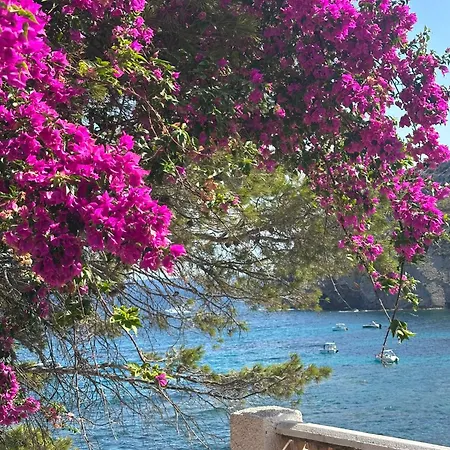 Hollidaycapri *